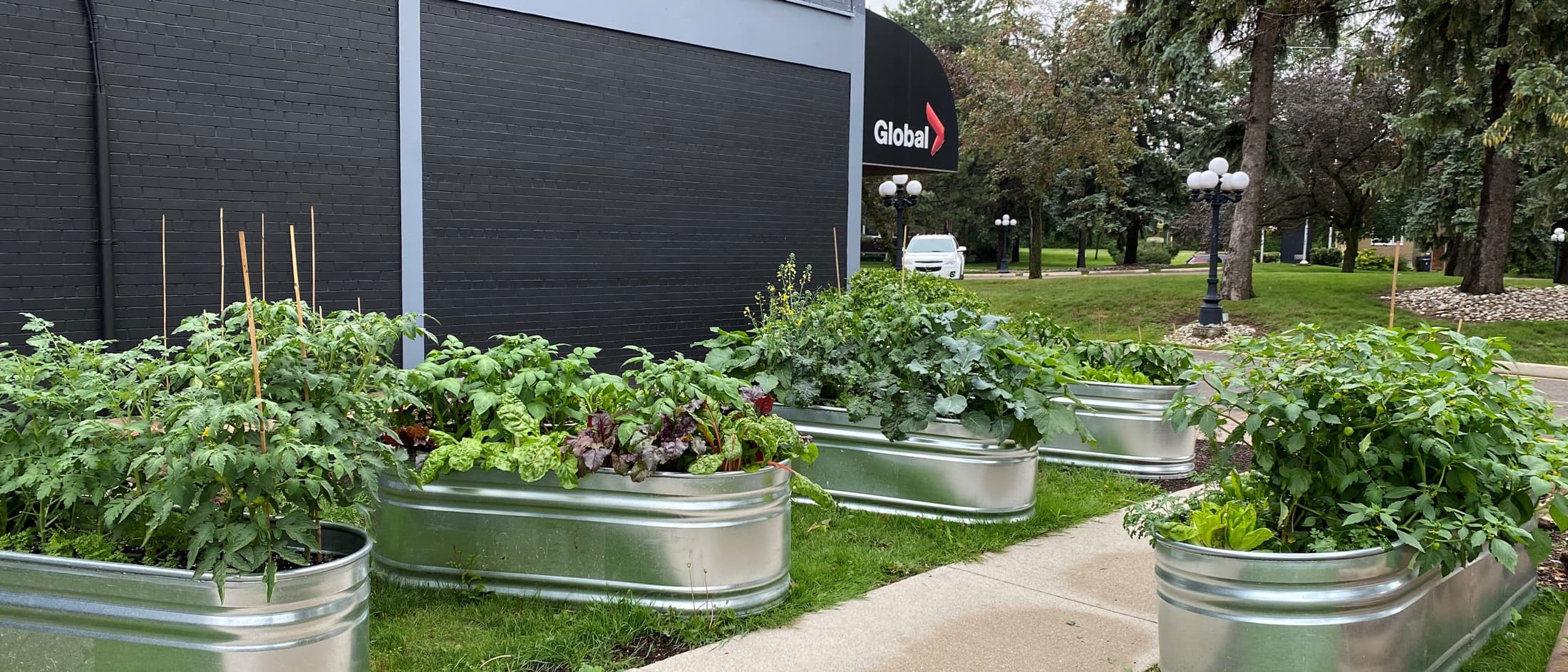 plants and green space