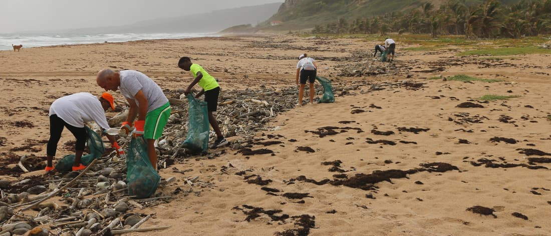 Group of people collecting garbage from beach